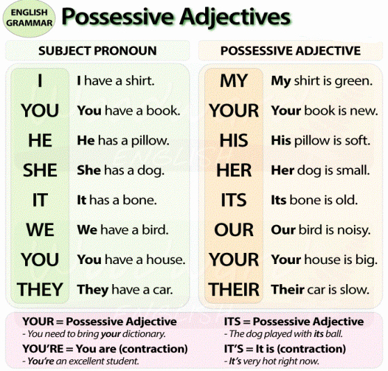 50 Possessive Adjective Spanish Worksheet