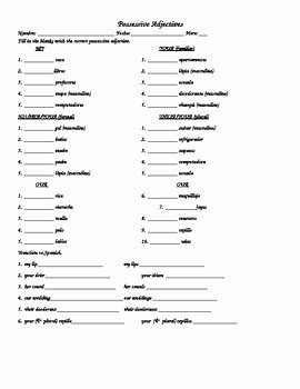 Possessive Adjective Spanish Worksheet Elegant Spanish Possessive Adjectives Worksheet by C Dym