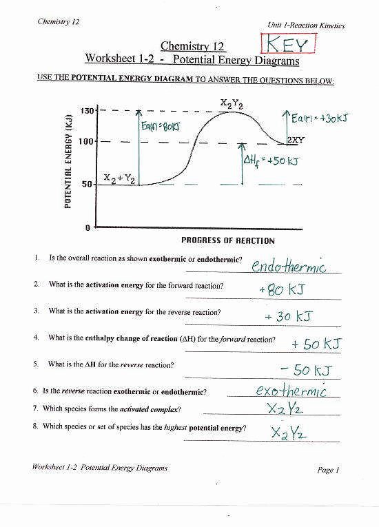 Potential Vs Kinetic Energy Worksheet Awesome Potential and Kinetic Energy Worksheet