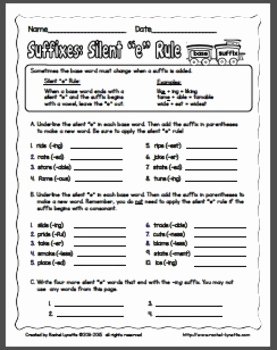 Prefixes and Suffixes Worksheet Unique Prefixes Suffixes and Roots by Rachel Lynette