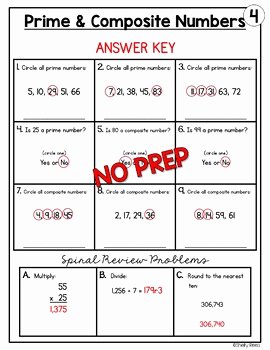 Prime and Composite Numbers Worksheet New Prime Numbers and Posite Numbers Worksheets by Shelly