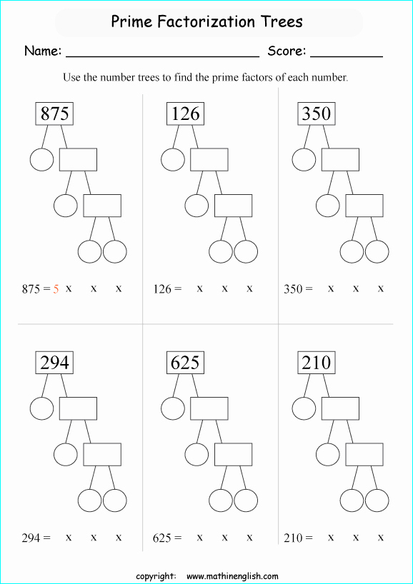 Prime Factorization Tree Worksheet Best Of Use the Prime Factor Tree to Factorize these 3 Digit
