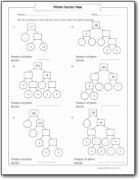 Prime Factorization Tree Worksheet New Factors Worksheets