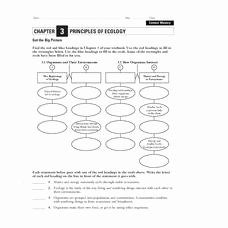 Principles Of Ecology Worksheet Answers Awesome Principles Of Ecology Worksheet for 4th 8th Grade