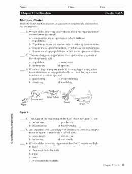 Principles Of Ecology Worksheet Answers Beautiful Studylib Essys Homework Help Flashcards Research