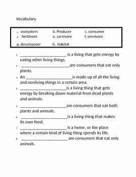Producer Consumer Decomposer Worksheet Awesome Producers Consumers &amp; De Posers assessment 4th Grade