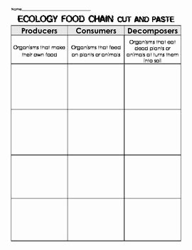 Producer Consumer Decomposer Worksheet Beautiful Food Chain organisms sort Cut &amp; Paste Producer Consumer