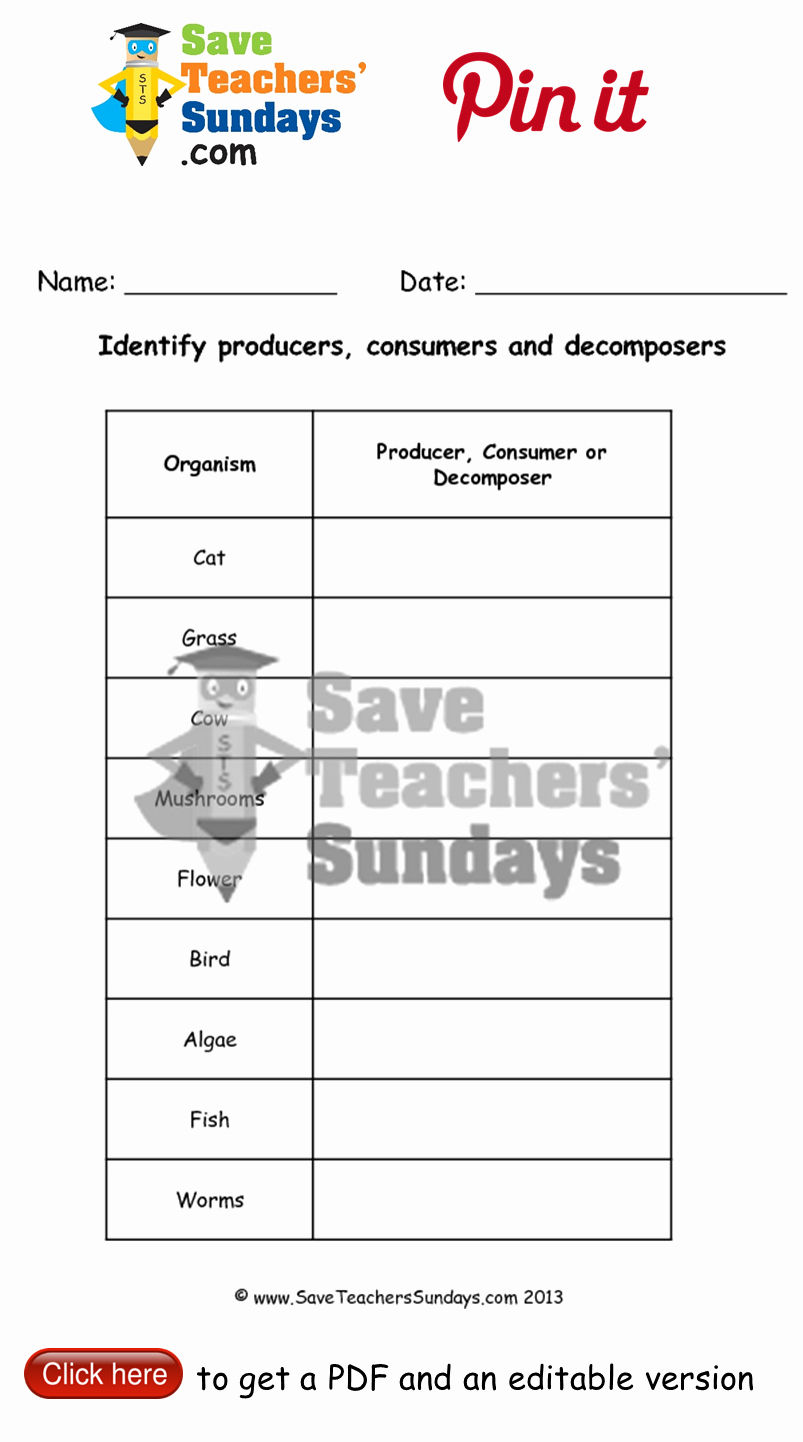 Producer Consumer Decomposer Worksheet Beautiful Line Activity On Identifying Producers Consumers and