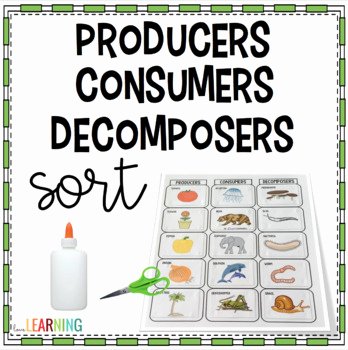 Producer Consumer Decomposer Worksheet Best Of Producers Consumers and De Posers sort Activity by