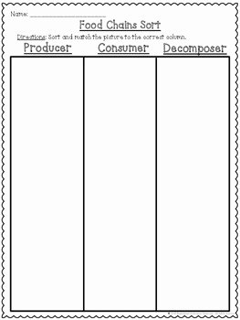 Producer Consumer Decomposer Worksheet Elegant Food Chains Producers Consumers and De Posers Cut and