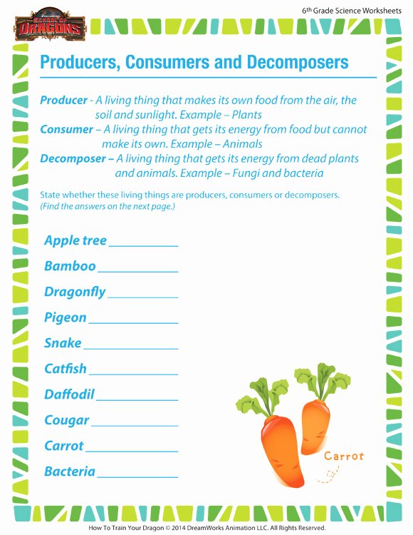 50 Producer Consumer Decomposer Worksheet