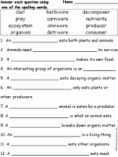 Producers and Consumers Worksheet Awesome Food Chain Enchantedlearning