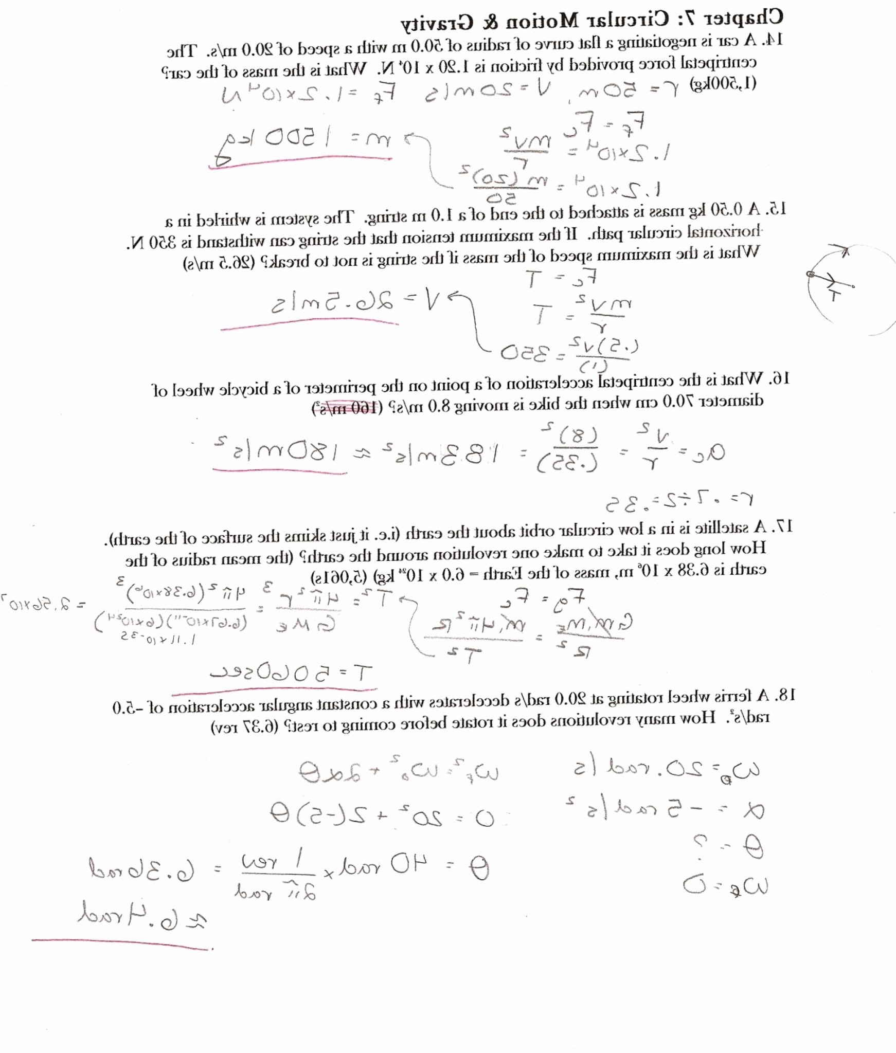 Projectile Motion Worksheet Answers Unique Carbon Cycle Worksheet Answer Key