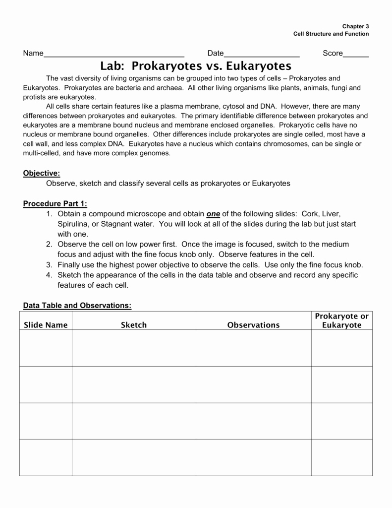 Prokaryote Vs Eukaryote Worksheet Beautiful Parts Prokaryotic and Eukaryotic Cells Worksheet Answer