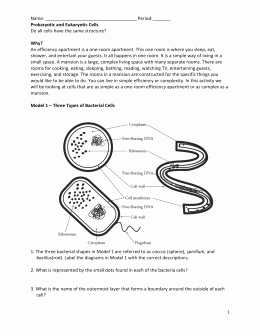 Prokaryotes and Eukaryotes Worksheet Inspirational Prokaryotic Eukaryotic Student Practice