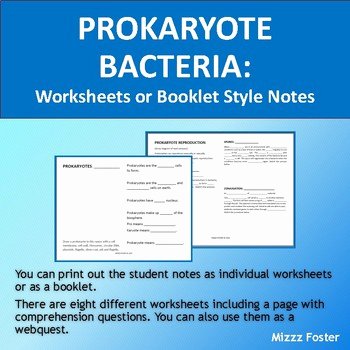 Prokaryotes Bacteria Worksheet Answers Awesome Prokaryotes Bacteria Works by Mizzz Foster