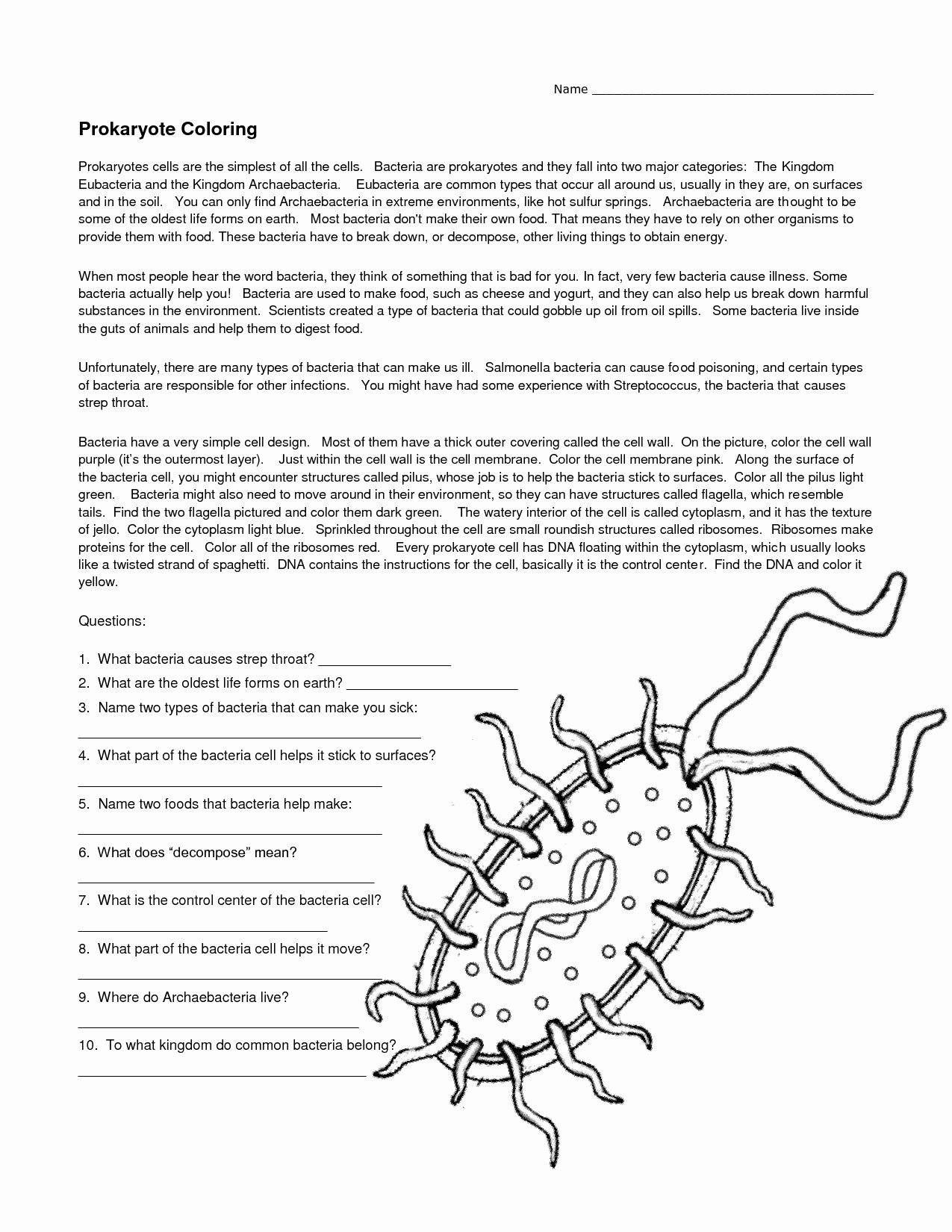 Prokaryotes Bacteria Worksheet Answers Elegant 14 Best Of Viruses and Bacteria Worksheets