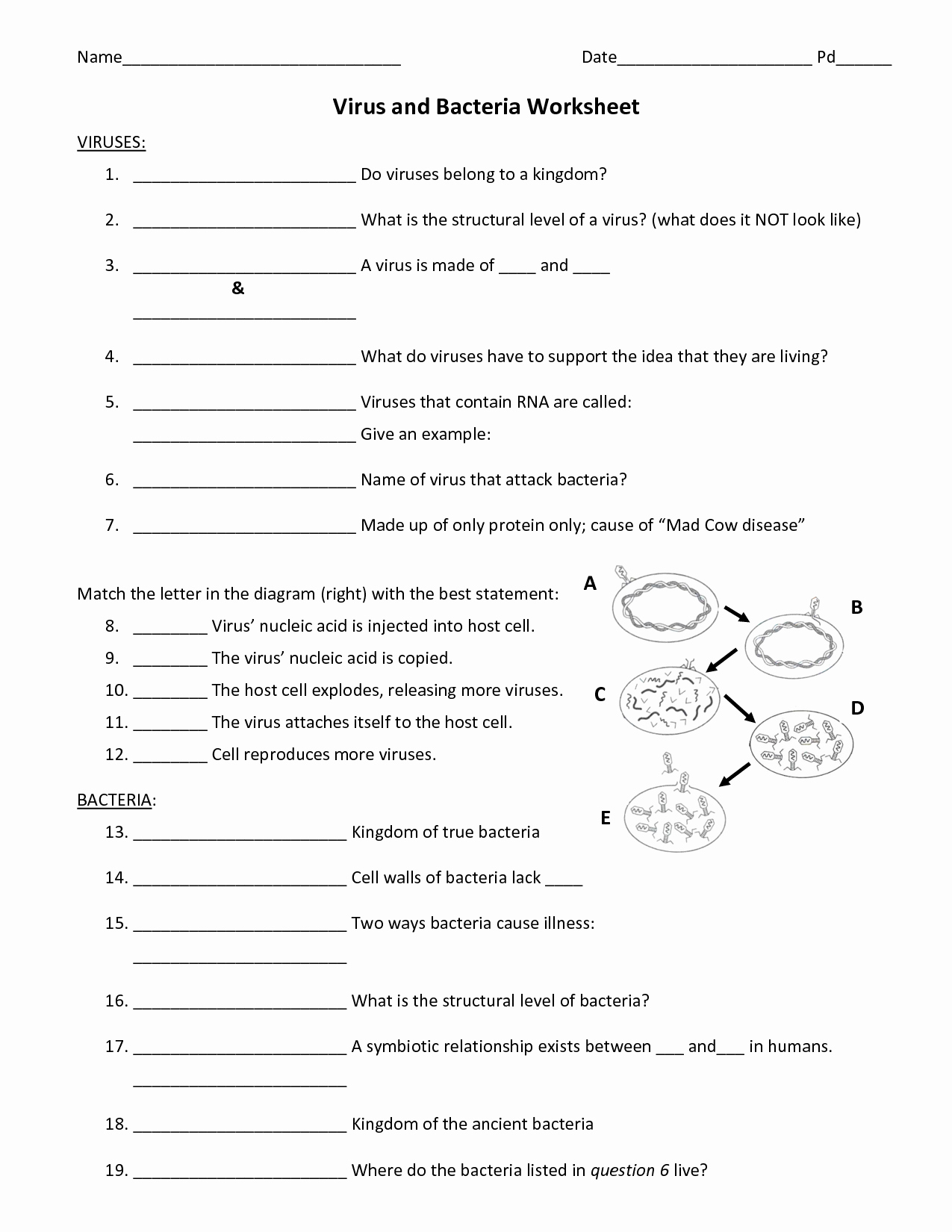 Prokaryotes Bacteria Worksheet Answers Inspirational 14 Best Of Viruses and Bacteria Worksheets