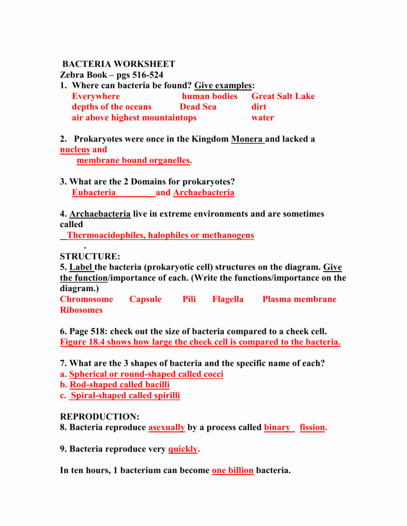 Prokaryotes Bacteria Worksheet Answers Luxury Bacteria Worksheet Pc Mac