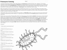 Prokaryotes Bacteria Worksheet Answers Luxury Prokaryote Coloring 7th 9th Grade Worksheet