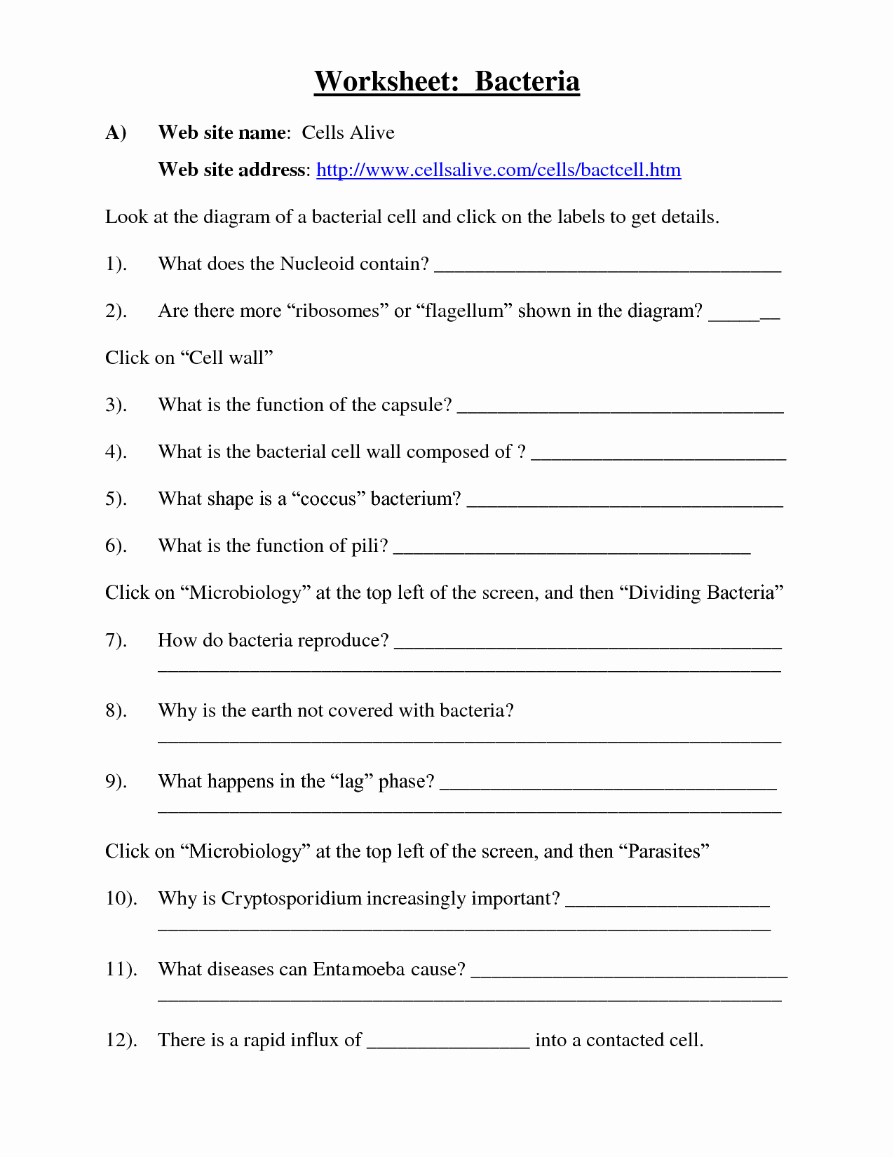 Prokaryotes Bacteria Worksheet Answers Unique 14 Best Of Viruses and Bacteria Worksheets