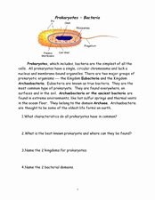 Prokaryotes Bacteria Worksheet Answers Unique Prokaryotes Bacteria 6th 9th Grade Worksheet