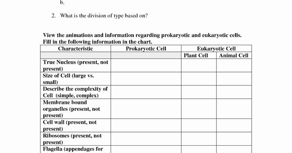 Prokaryotic and Eukaryotic Cells Worksheet Best Of Cells Worksheets