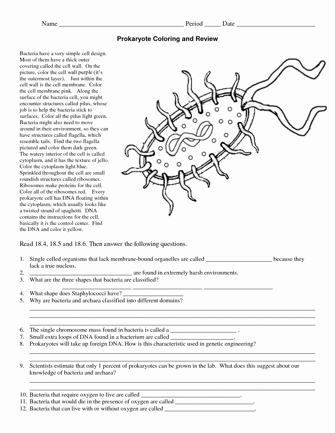 Prokaryotic Cell Labeling Worksheet