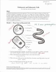 Prokaryotic and Eukaryotic Cells Worksheet Inspirational Prokaryotes and Eukaryotes Questions Pdf Prokaryotic and