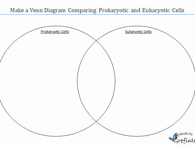 Prokaryotic and Eukaryotic Cells Worksheet Lovely Prokaryotes Vs Eukaryotes Worksheet the Best Worksheets