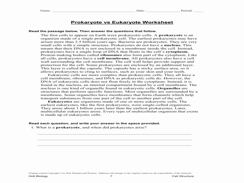 Prokaryotic and Eukaryotic Cells Worksheet New Prokaryote Vs Eukaryote Worksheet Free Printable Worksheets