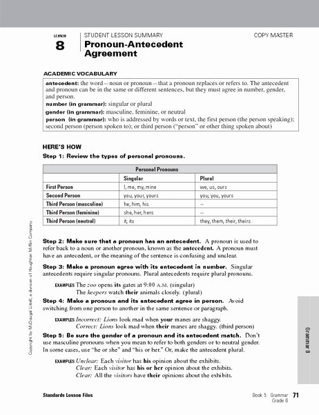 Pronoun Antecedent Agreement Worksheet Best Of Pronoun Lesson 6th Grade
