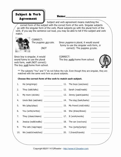 50 Pronoun Verb Agreement Worksheet