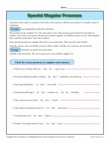 Pronouns and Antecedents Worksheet Luxury Special Singular Pronouns