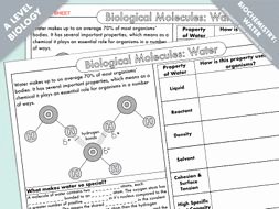 Properties Of Water Worksheet Biology Awesome A Level Biology Water Structure and Properties Summary