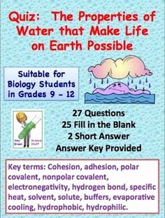 Properties Of Water Worksheet Biology Awesome Dna Rna Protein Synthesis Worksheet Study Guide