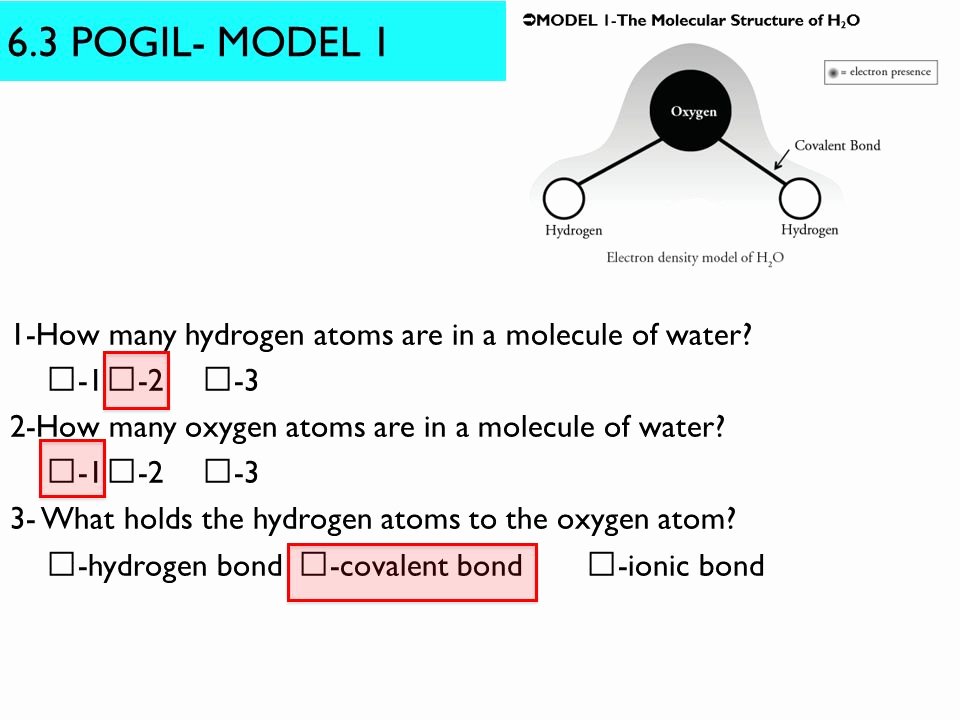 Properties Of Water Worksheet Biology Elegant Properties Water Worksheet Answers