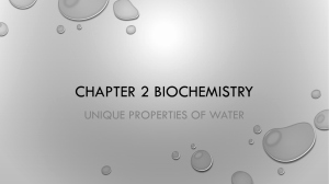 Properties Of Water Worksheet Biology New Properties Of Water Worksheet