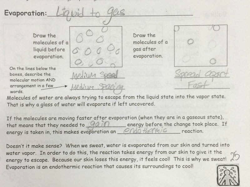 50 Properties Of Water Worksheet