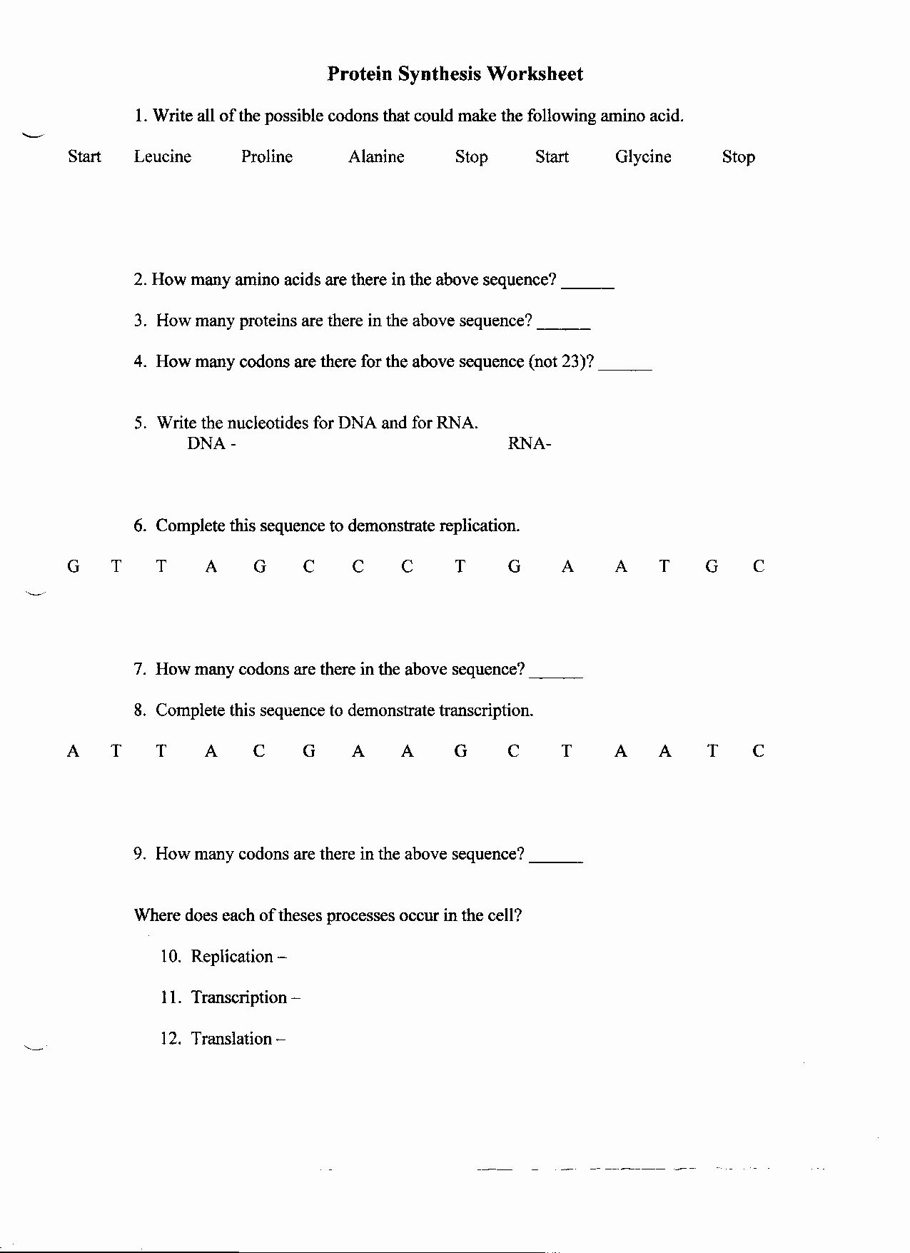 Protein Synthesis Practice Worksheet Awesome 16 Best Of Protein Biology Worksheet Protein