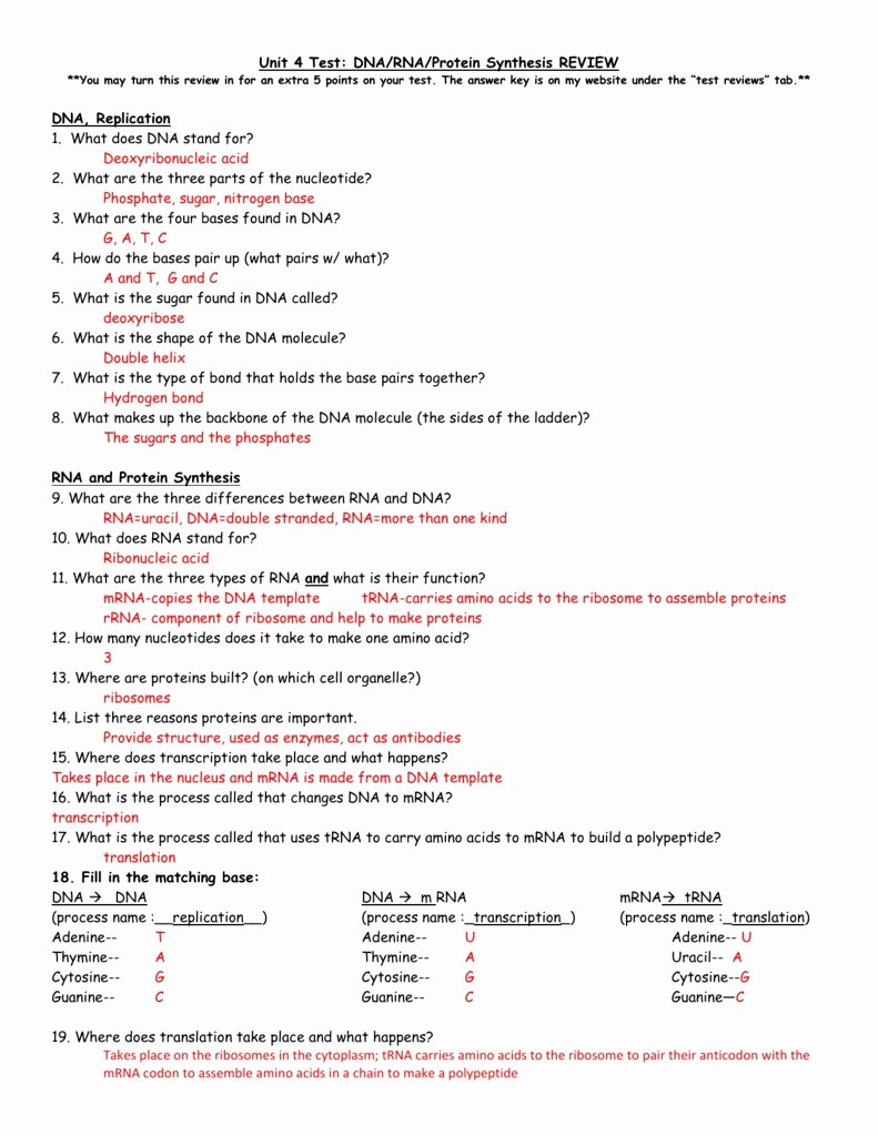 50 Protein Synthesis Practice Worksheet