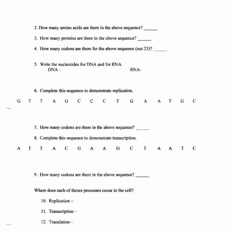 Protein Synthesis Practice Worksheet Inspirational Protein Synthesis Practice Worksheet