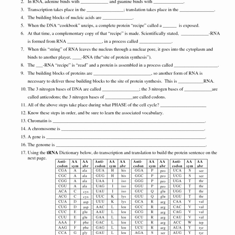 Protein Synthesis Practice Worksheet New Protein Synthesis Worksheet Answers