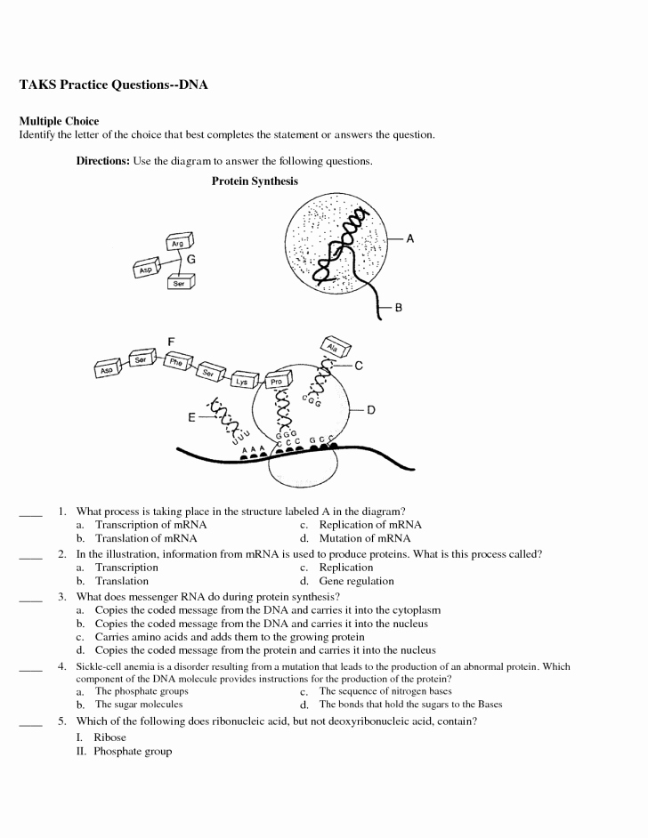 Protein Synthesis Practice Worksheet Unique Dna Practice Questions 7 Dna Synthesis Quiz