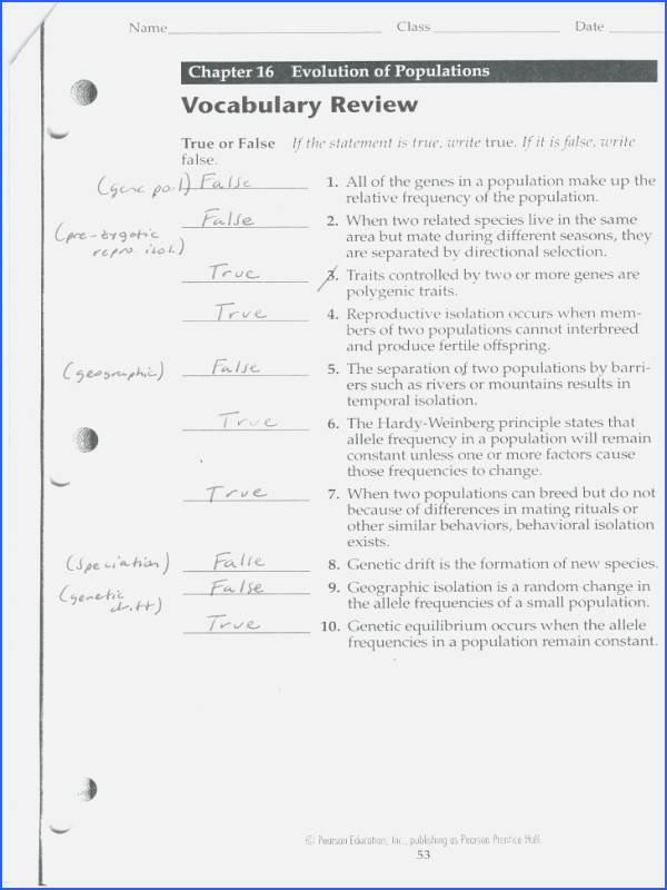 Protein Synthesis Review Worksheet Answers Beautiful Mutations Worksheet