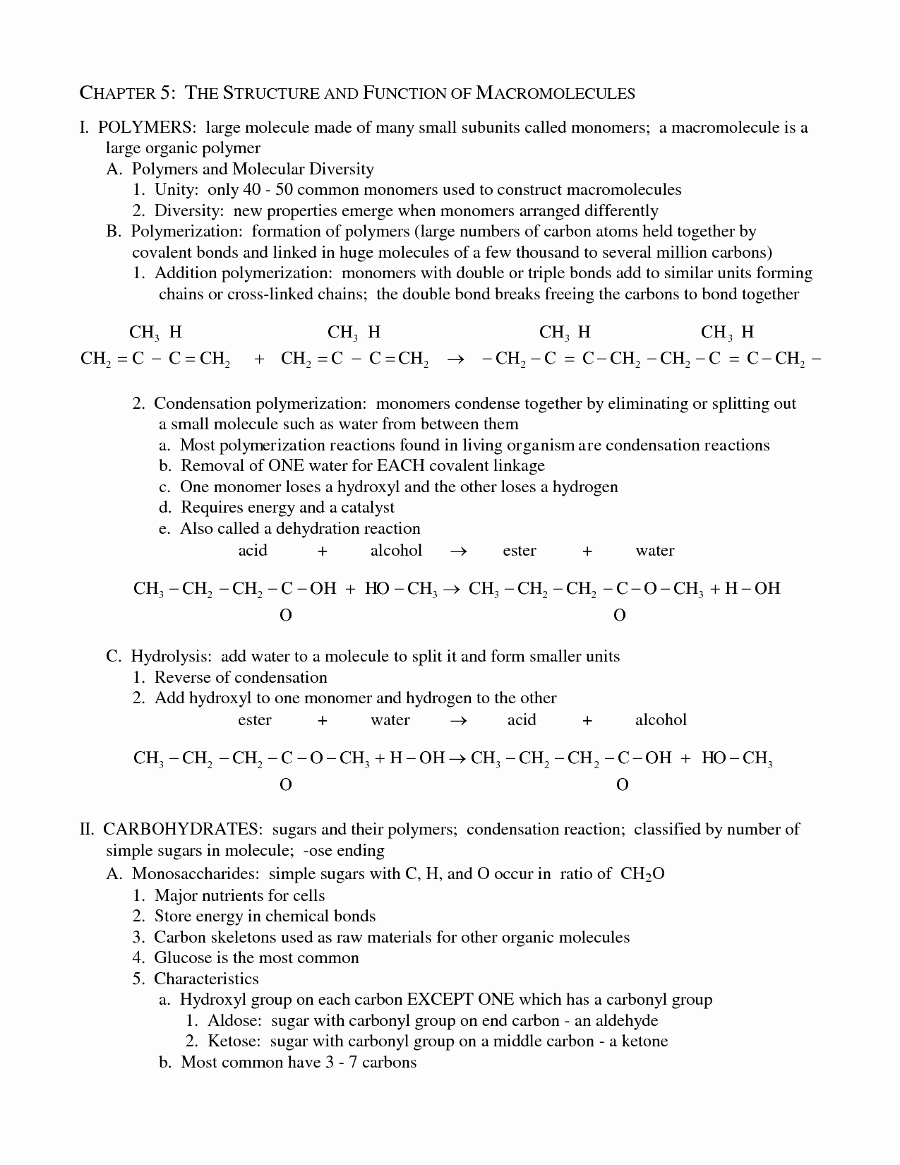 Protein Synthesis Review Worksheet Answers Elegant 16 Best Of Protein Biology Worksheet Protein