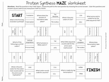 Protein Synthesis Review Worksheet Answers Inspirational Protein Synthesis Maze Worksheet for Review or assessment