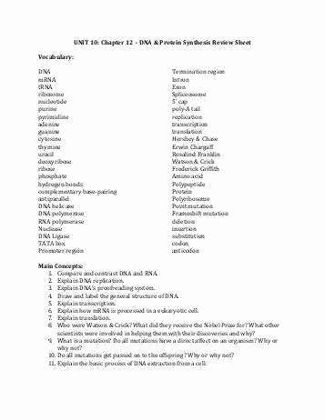 Protein Synthesis Review Worksheet Answers Luxury Protein Synthesis Worksheet