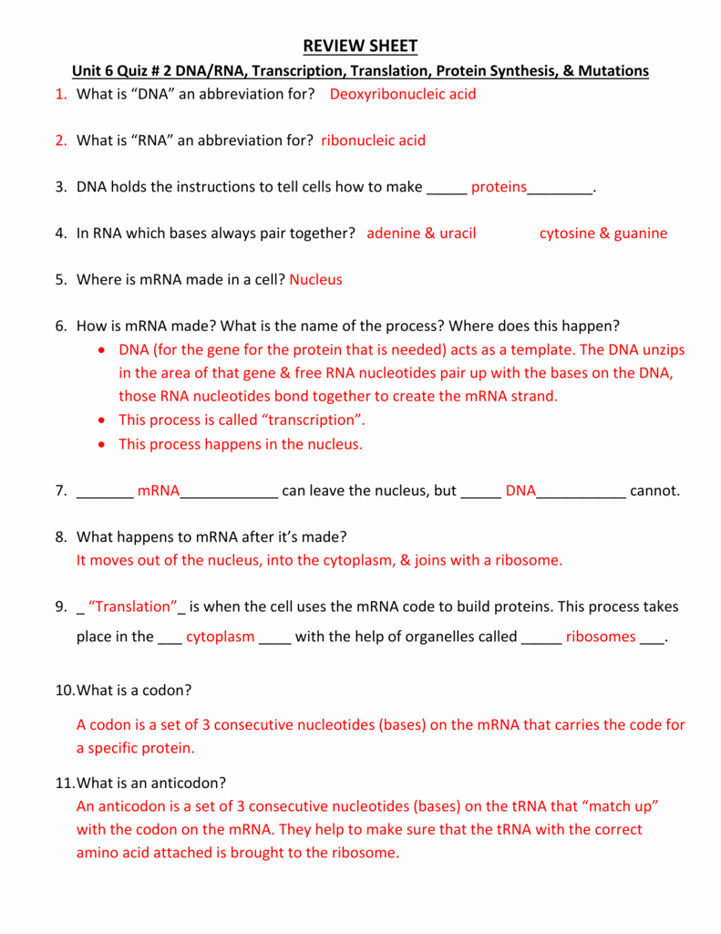 Protein Synthesis Review Worksheet Answers Luxury Review Sheet Unit 6 Quiz 2 Dna Rna Transcription