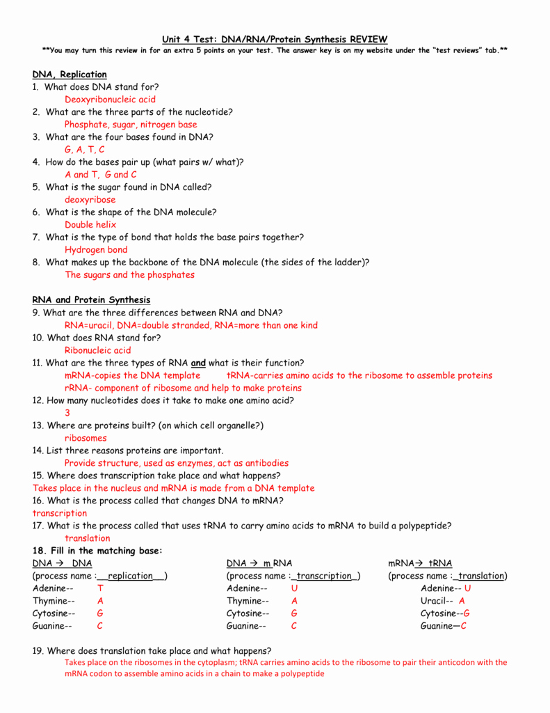 Protein Synthesis Review Worksheet Awesome Rna and Protein Synthesis